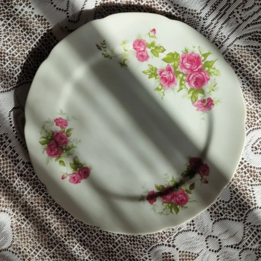 ظروف گلسرخی زیبا مسعود