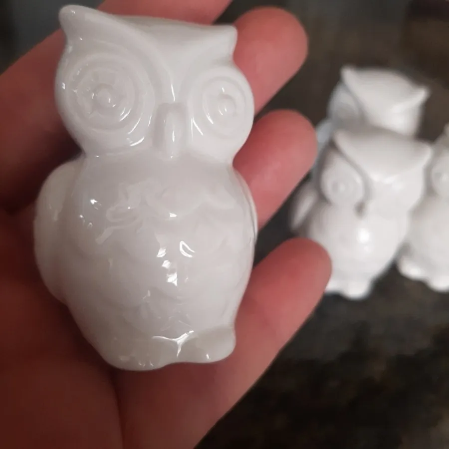 جغدهای کوچولو موچولو