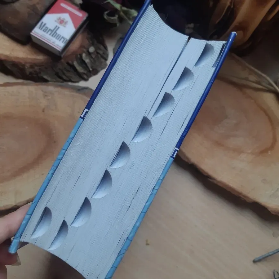 فرهنگ فارسی معین