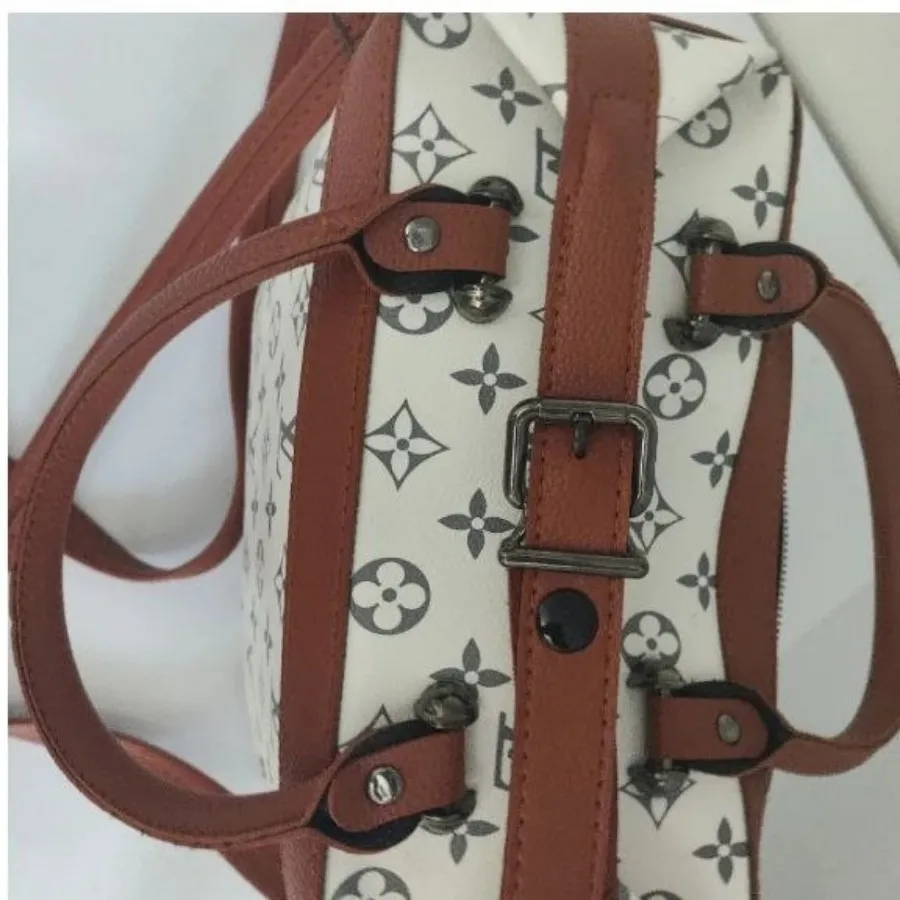 کیف لویی ویتون