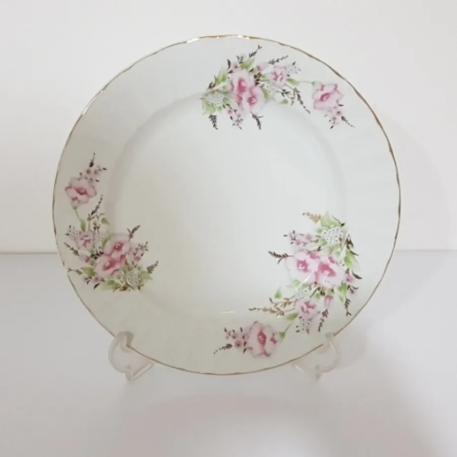 دیس گرد چینی همگام