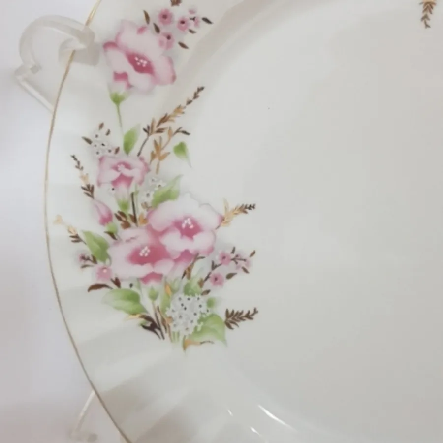 دیس گرد چینی همگام