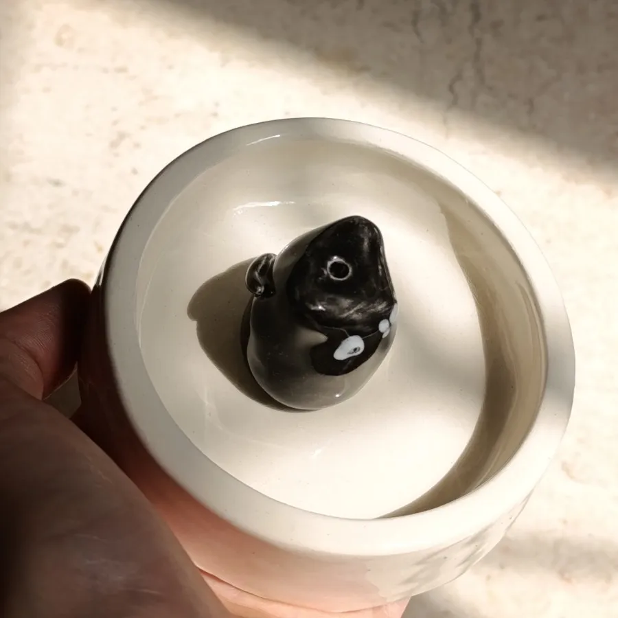 جا عودی گربه