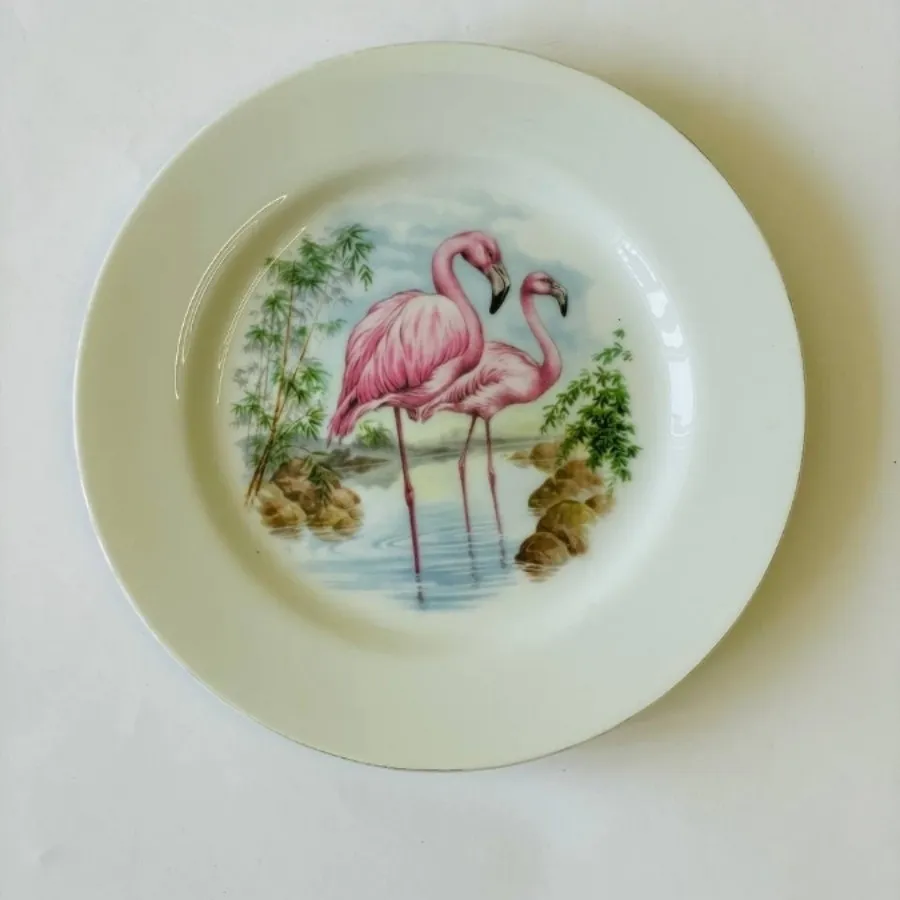 ست بشقاب پرنده بینظیر