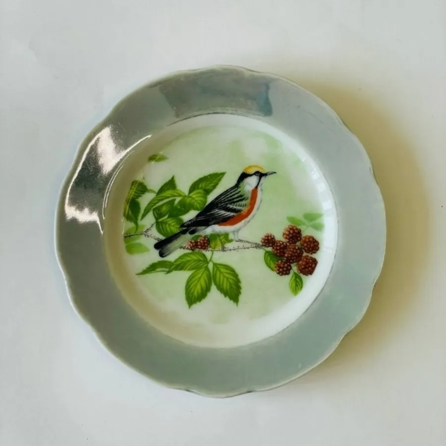 ست بشقاب پرنده بینظیر