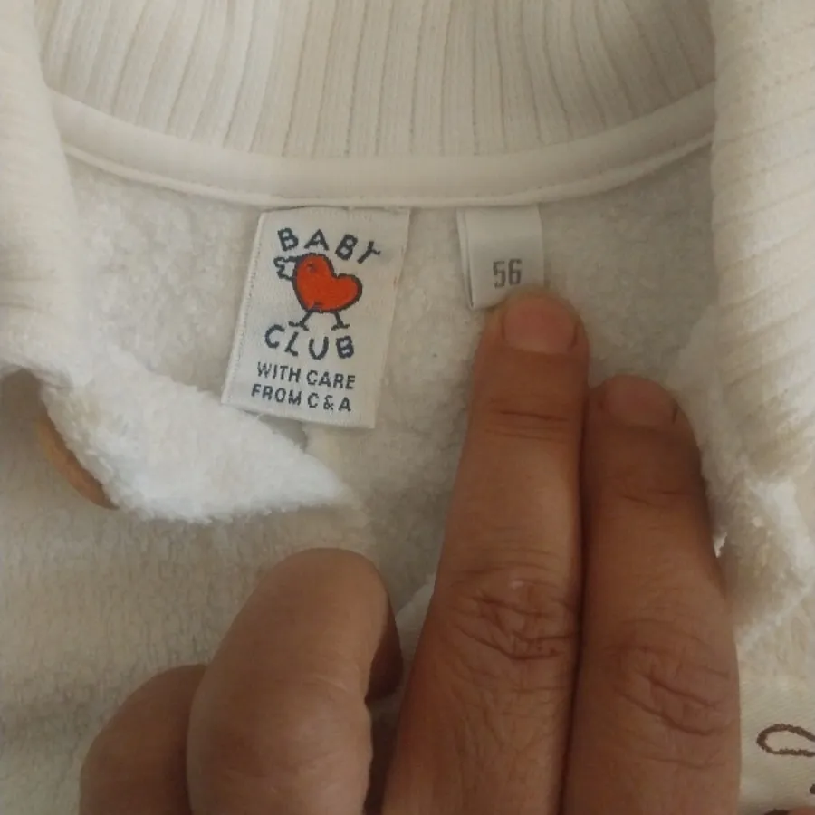 بادی  فصل پاییز و زمستان