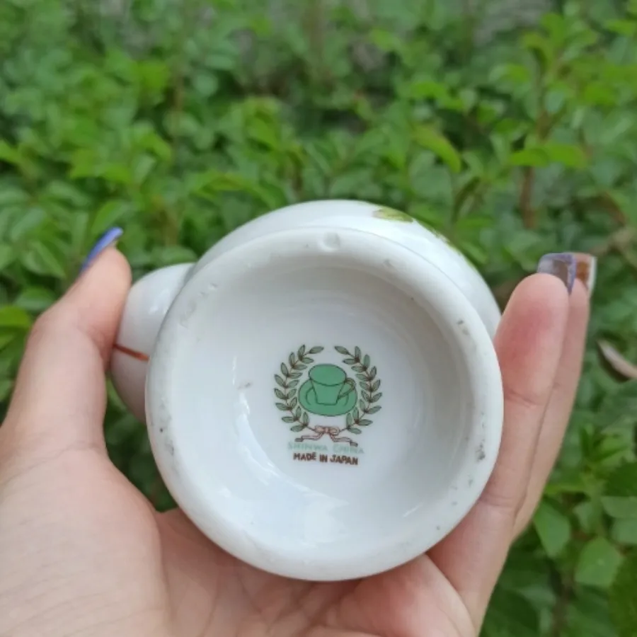 ماگ گلاب پاش گلسرخی