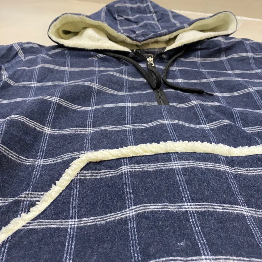 هودی داخل تدی