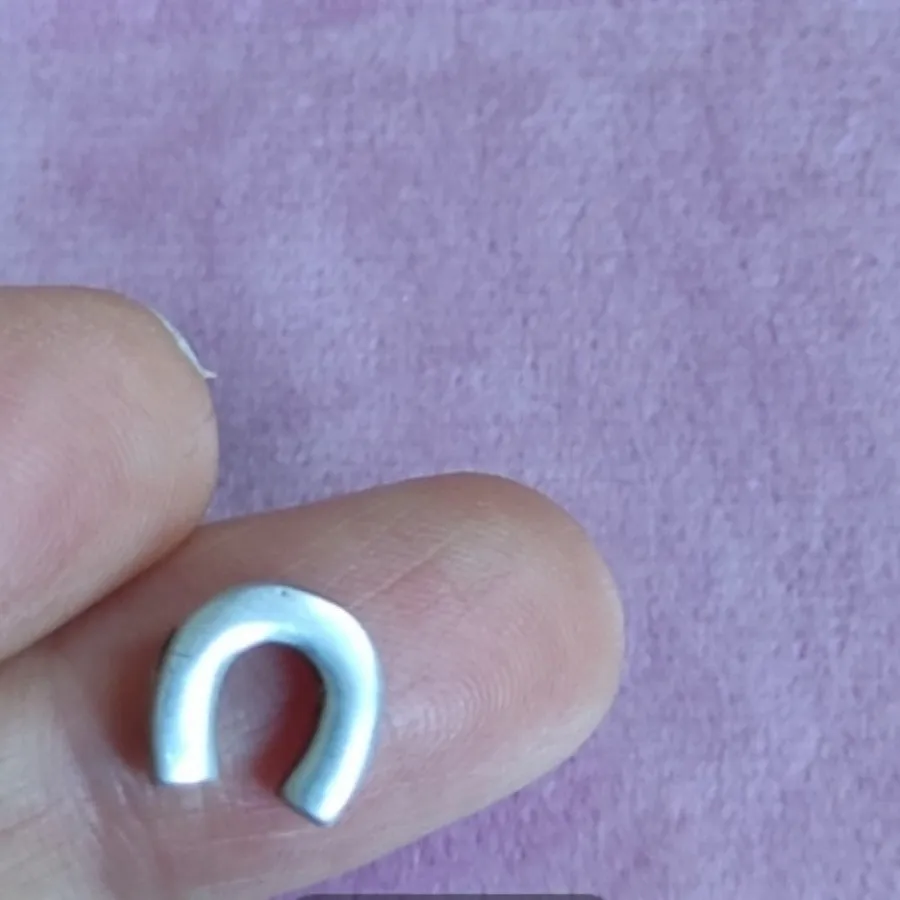 پلاک  نقره نعل اسب