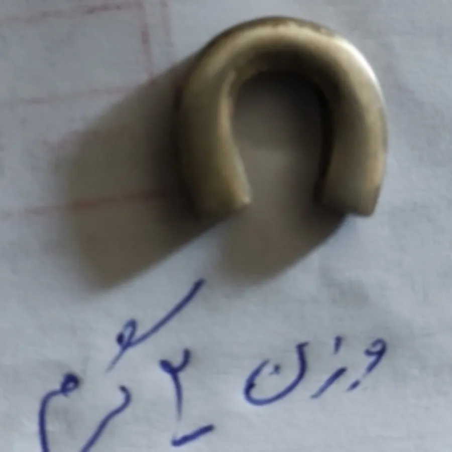 پلاک نقره نعل اسب