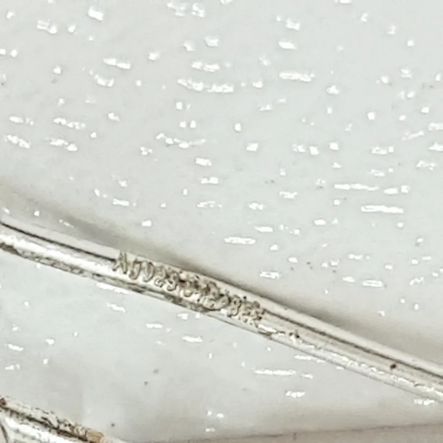 گوشواره کلایمبرز نقره 925