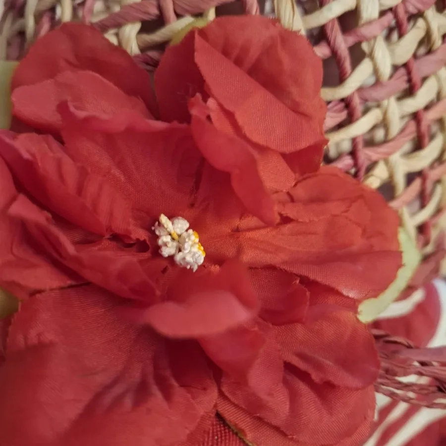 دیزی لند هد