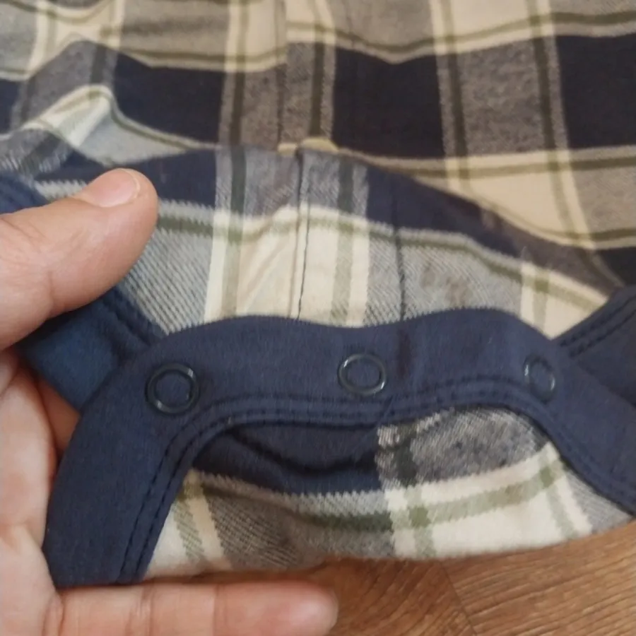 بادی کارترز