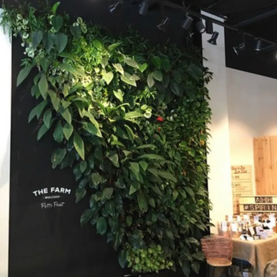 گلدان دیوار سبز