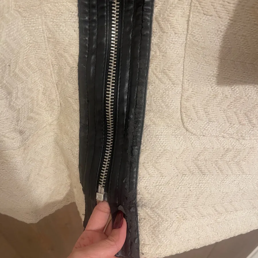 پالتو استرادیوریوس اصل