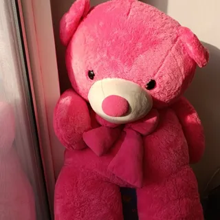 خرس بزرگ خیلی کیوتههه