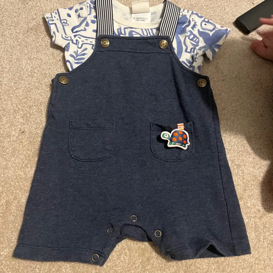 بیلر لاکپشتی