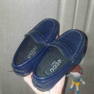 کالج پسرونه