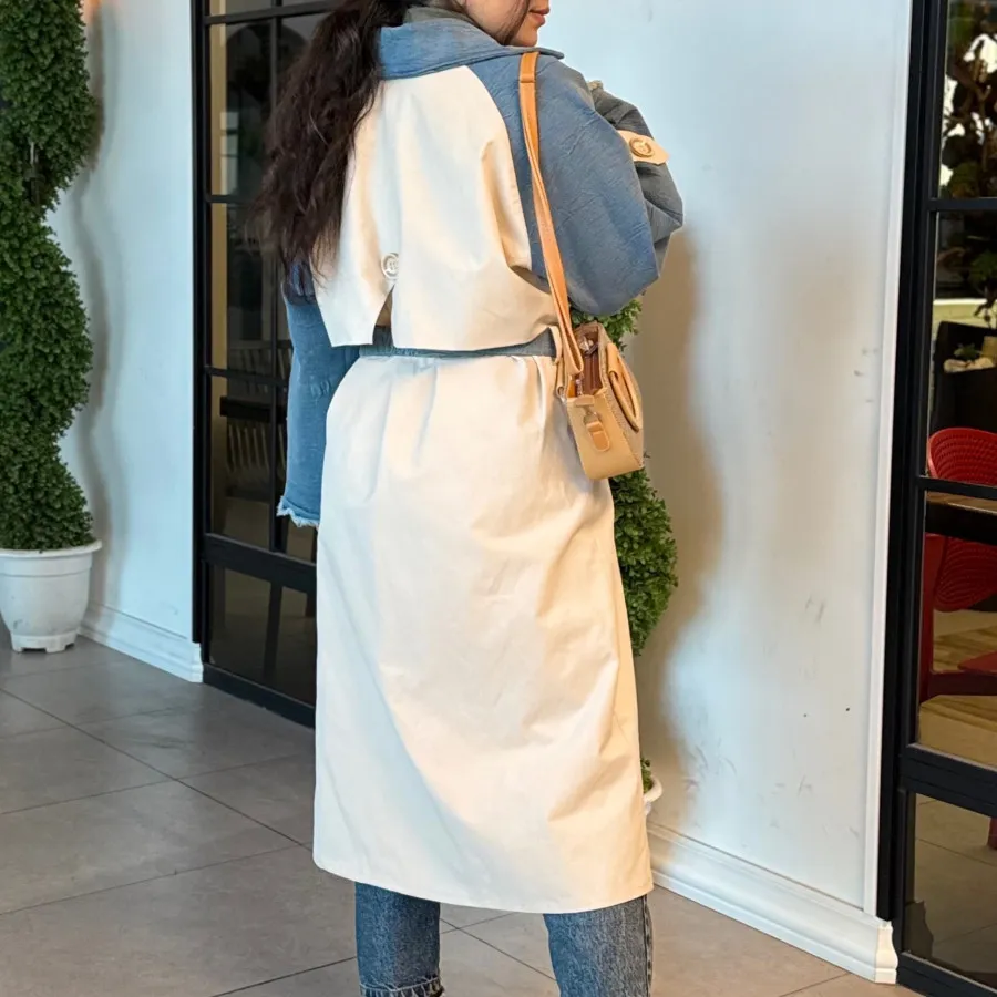 بارونی بلند