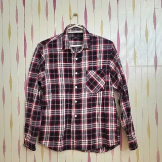 شگت اروپایی