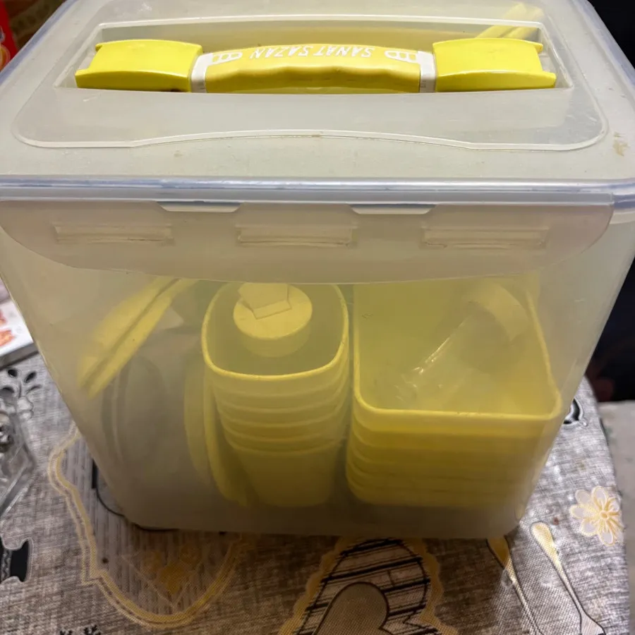 ظرف مسافرتی