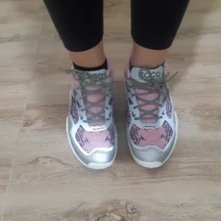 کتونی اکو بیوم