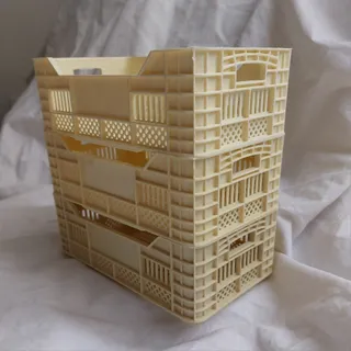 نظم دهنده/ارگنایزر