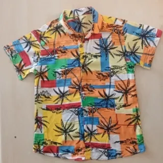 بلوز هاوایی پسرانه