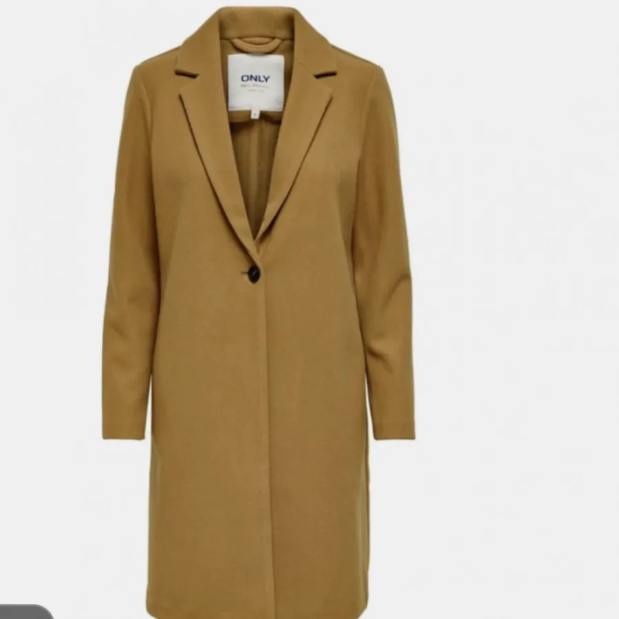 پالتو برندonly