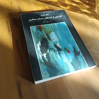 اگر شبی از شب‌های زمستان