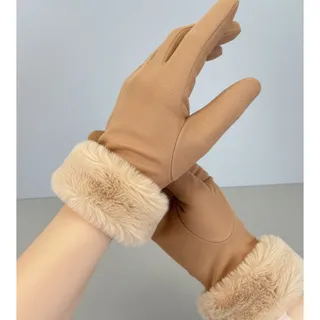 دستکش المانی