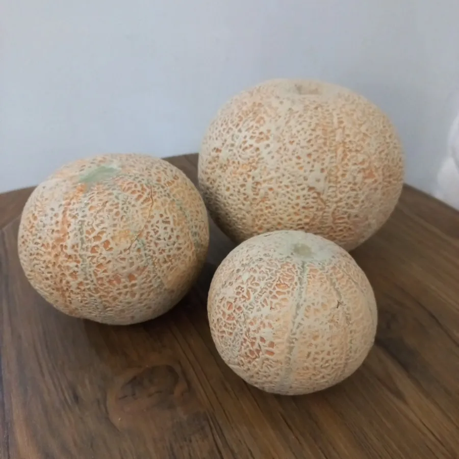 طالبی 3 عدد دکوری قلک