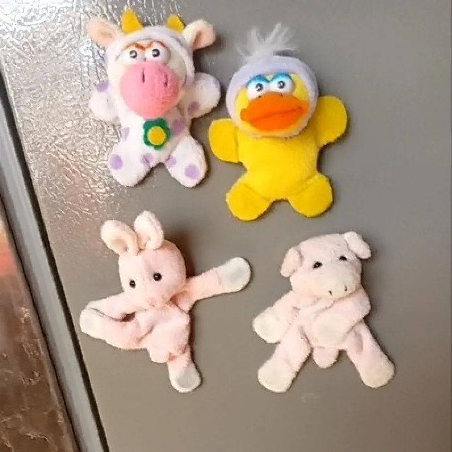 مگنت پولیشی