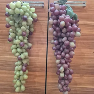 میوه های تزیینی