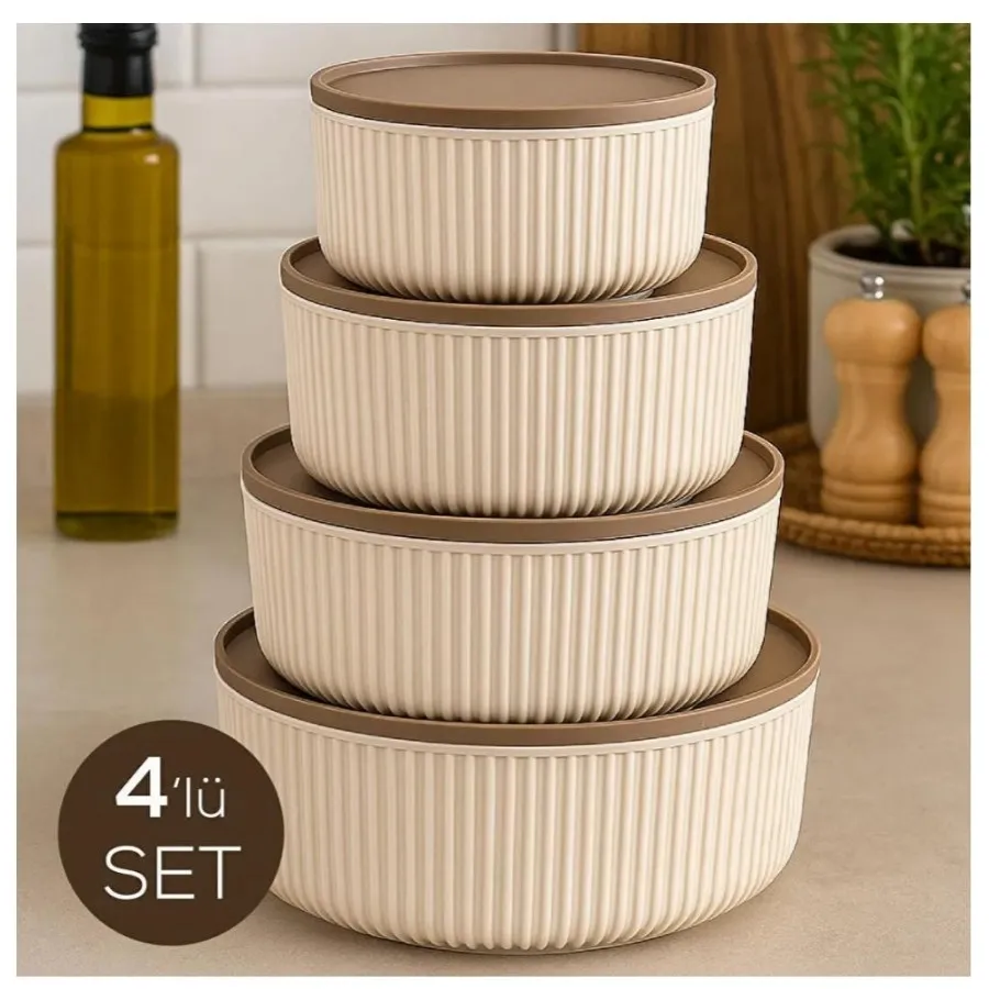 ست ظرف نگهدارنده 4 عددی