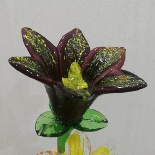 گل مورانو ایتالیایی