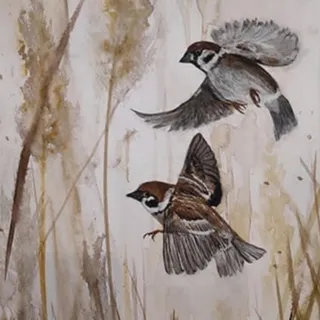 نقاشی آبرنگ