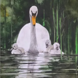 نقاشی آبرنگ