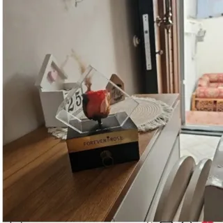 گل رز جاویدان