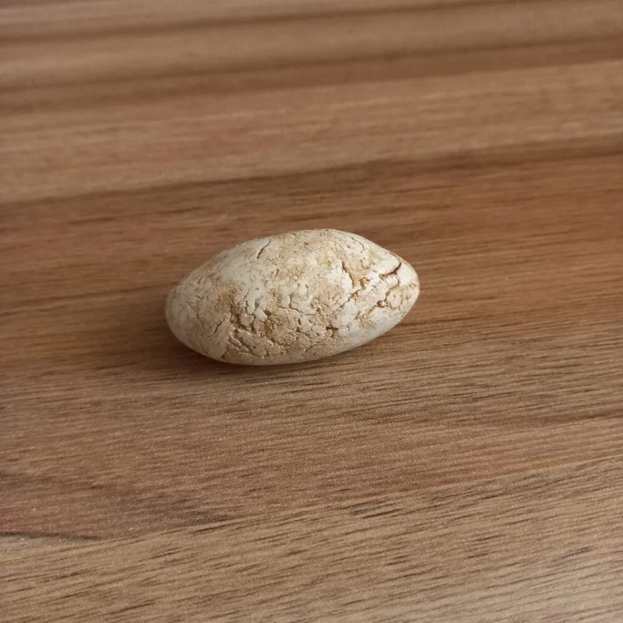 سنگ کرمی زیبا دکوری