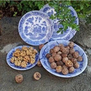 ظروف دیوار کوب