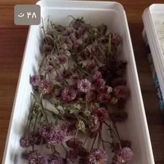 گل مصنوعی بنفش