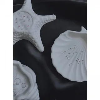 پیرسینگ نقره بینی