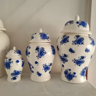 جینجرجارسرامیکی