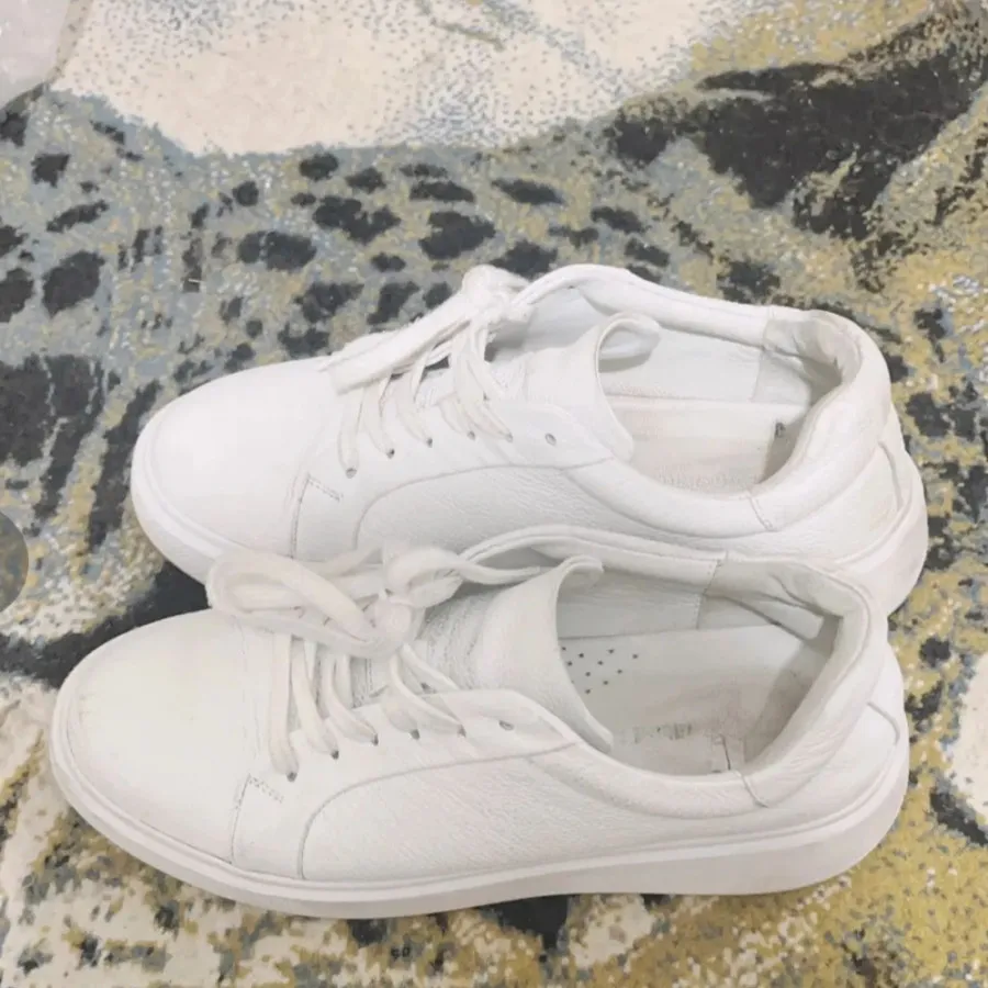 کفش ونس چرم مشهد