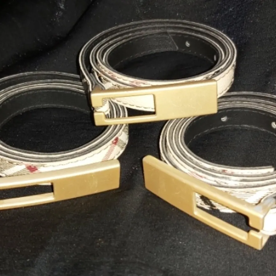 کمربند بربری