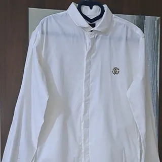 مردانه مجلسی