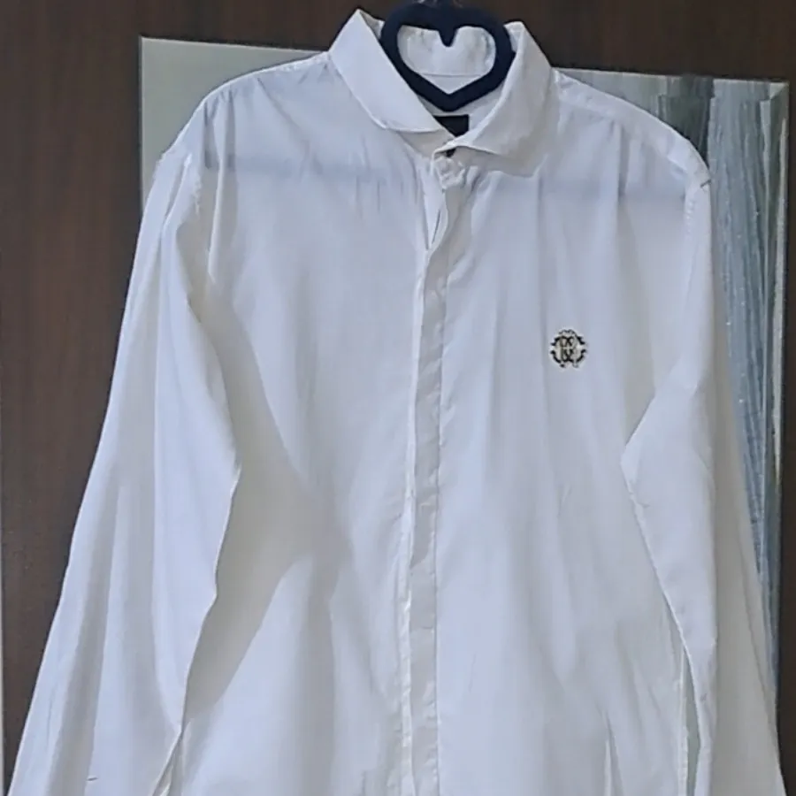 مردانه مجلسی