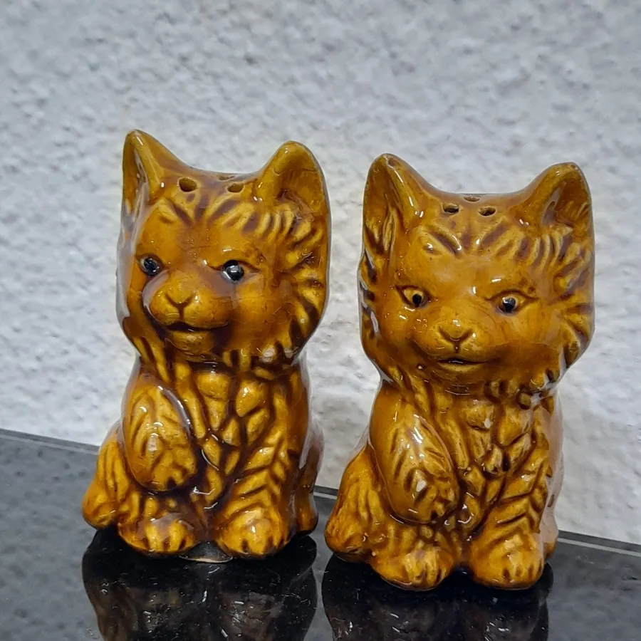 یک جفت پیشی دکوری