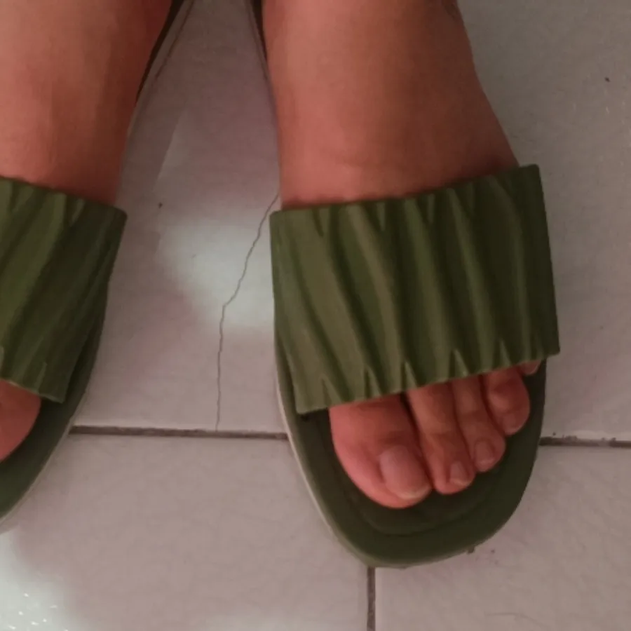 صندل سبز نووو